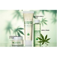 avonline.es C 7 Pack Cannabis Sativa Oil