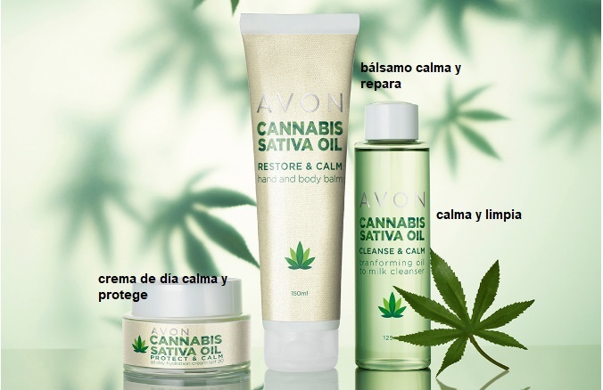 C 7 Pack Cannabis Sativa Oil